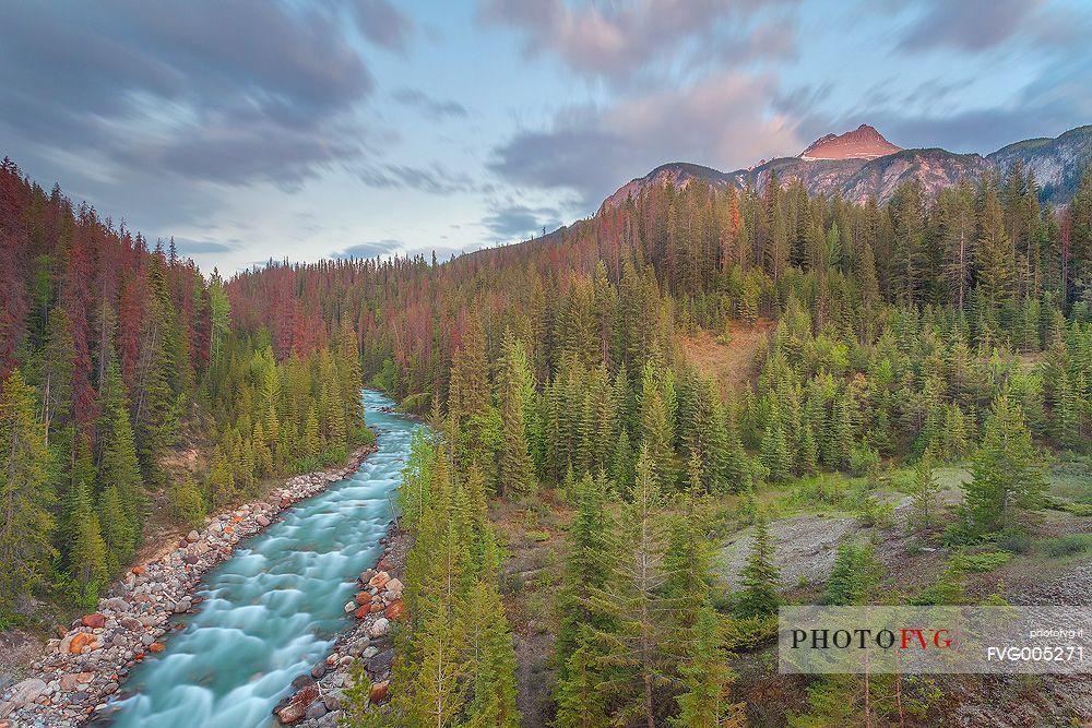 A view of the scenery around Icefields Parkway  