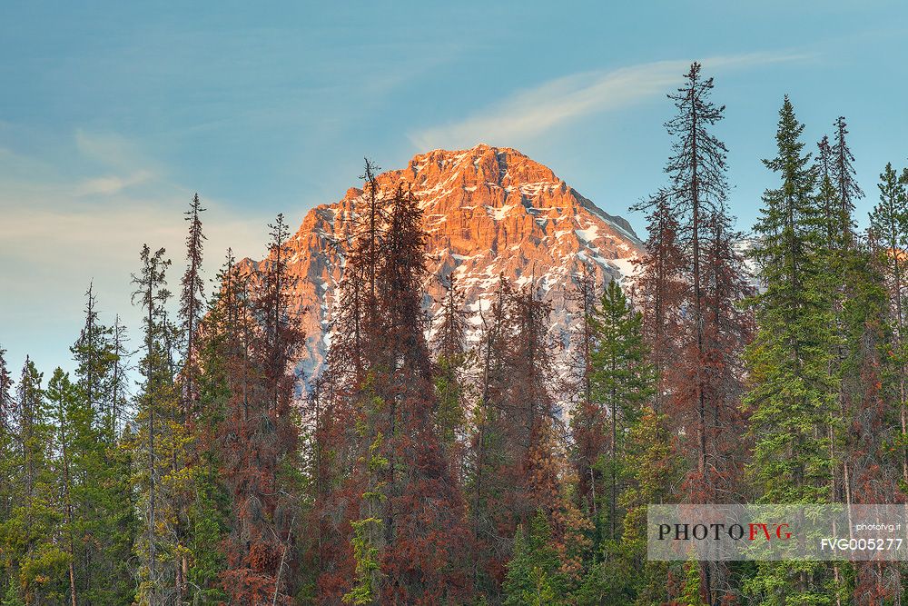 Kicking Horse at sunset