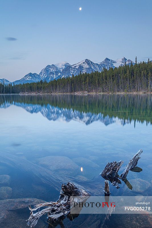 Blue Hour and moon at Herbert Lake