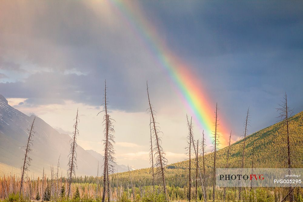 Storm and rainbow above Mount Rundle at Vermillion lake