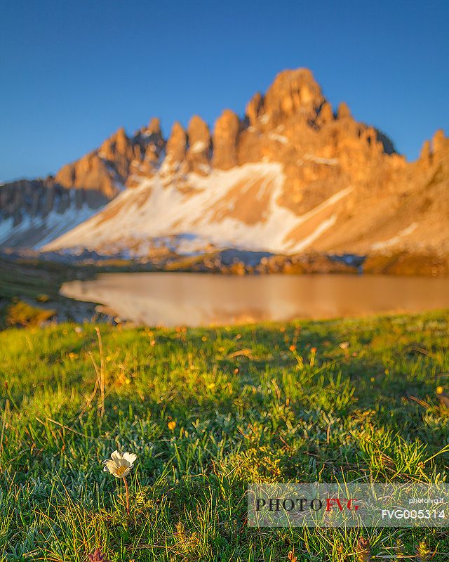 The morning light in June 