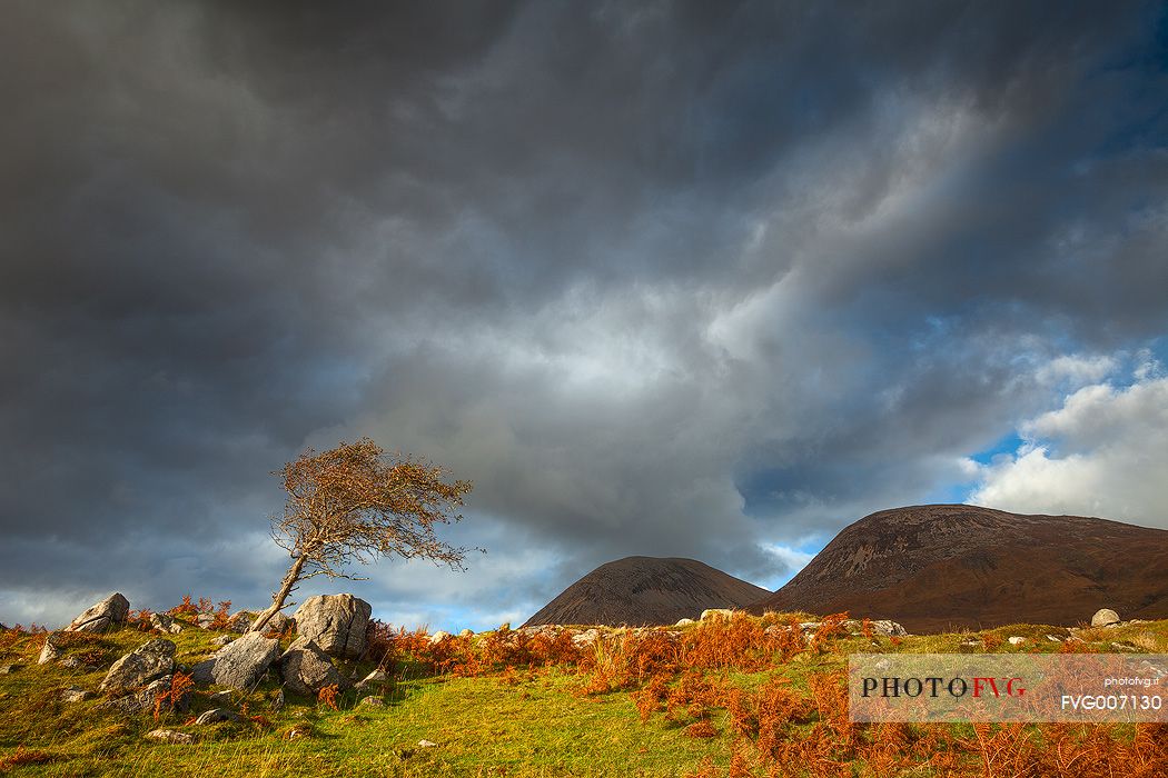 This picture has been taken just few minutes before the arrival of a rain storm