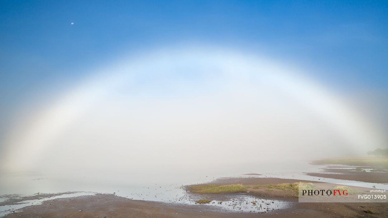 An incredible HALO showed up in the morning during a very misty day