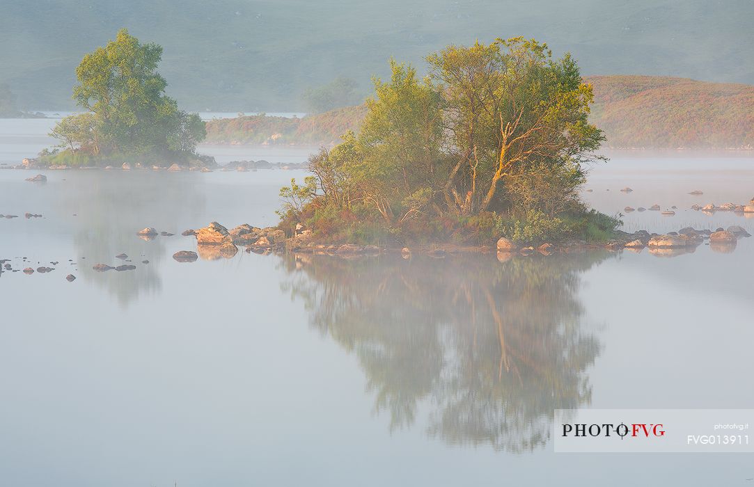 Two little isles on the lake hit ny the first light in the morning