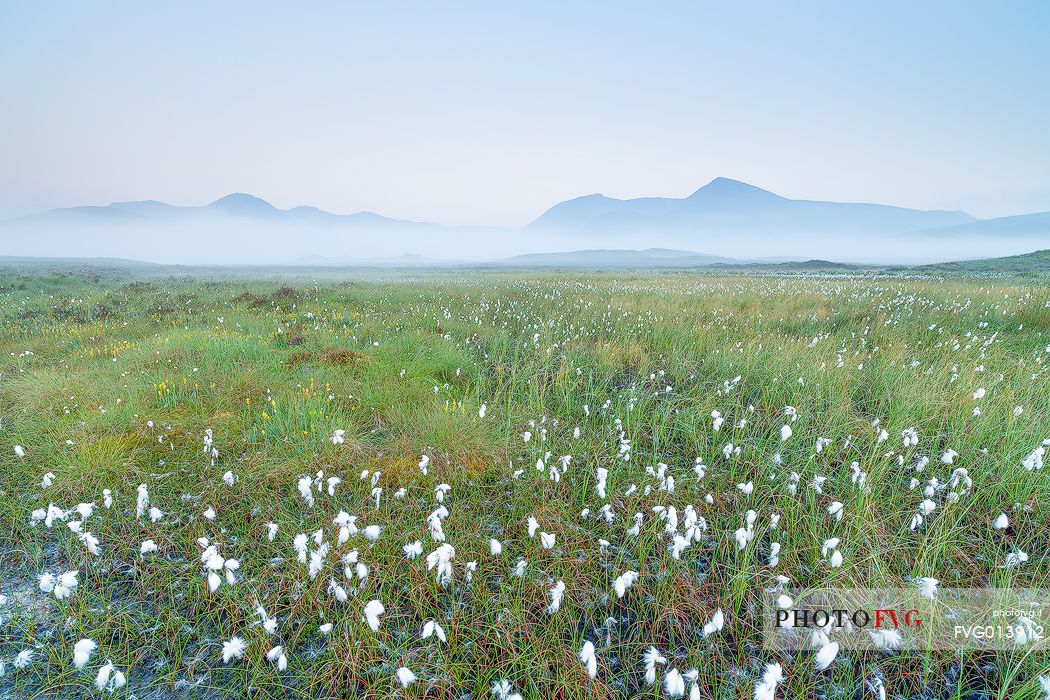 Morning myst in frot of black mount