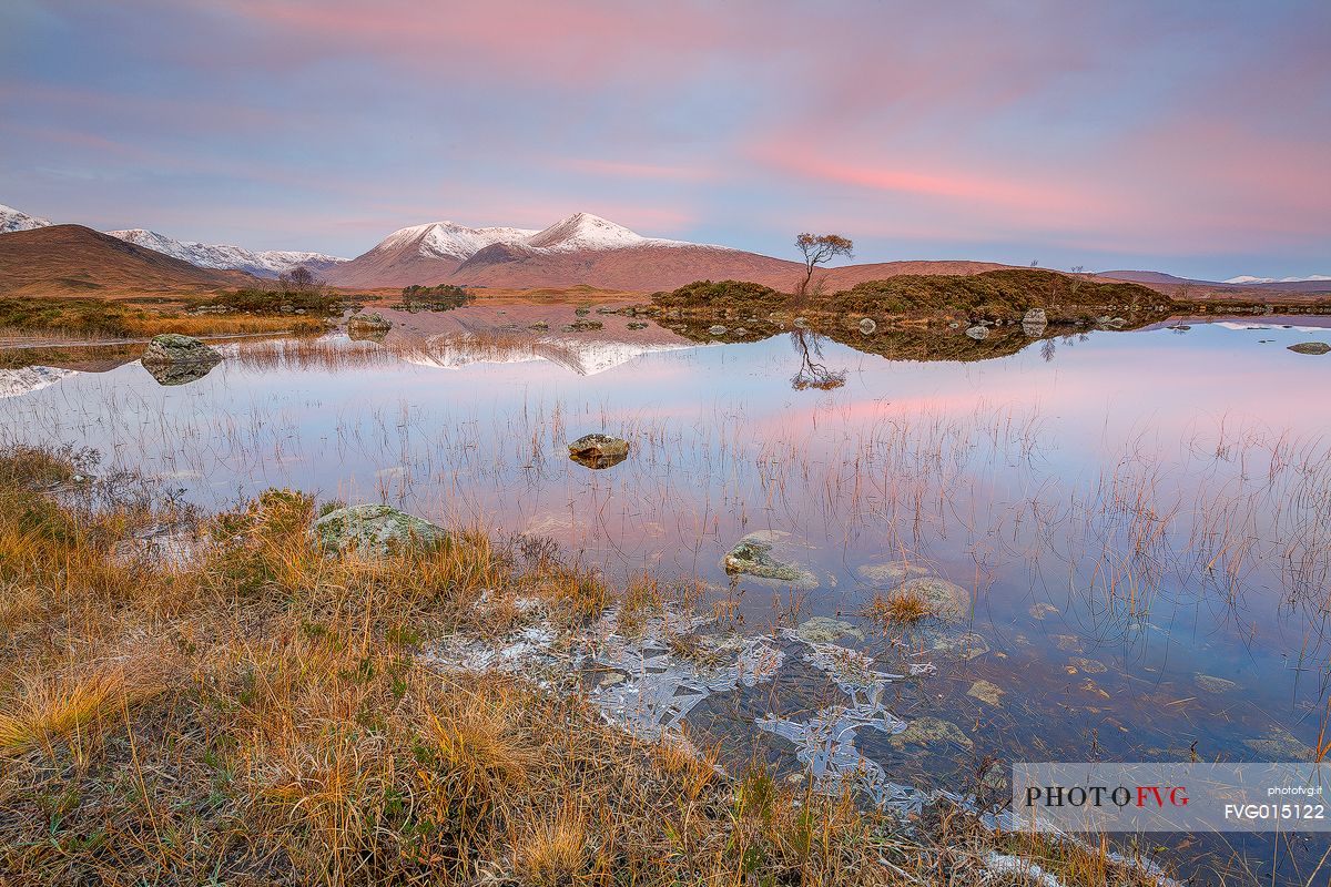 Beautiful pink colors in the sky at dawn