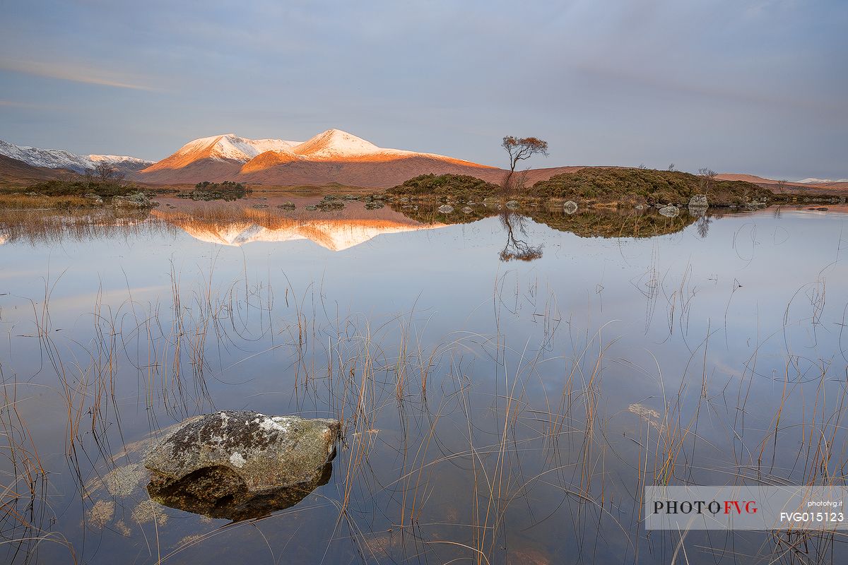 The first light in the morning at Black Mount