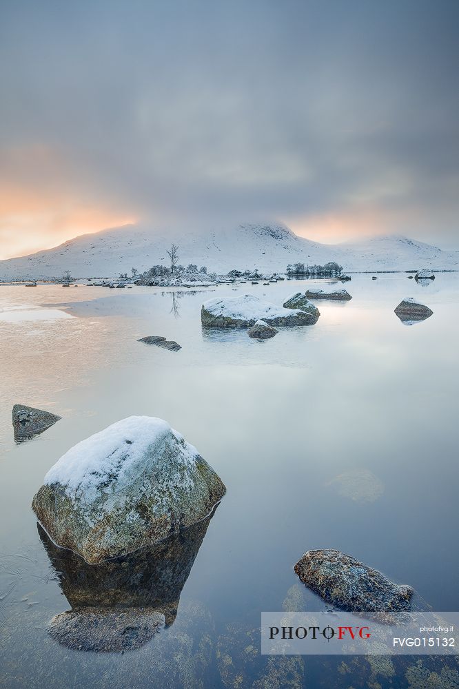 This picture has been taken after a snowfall at Rannoch Moor