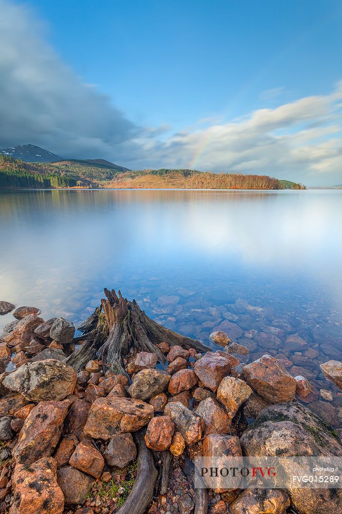 A rest of a dead tree on the lake shore and  a magnificent rainbow above Loch Cluanie