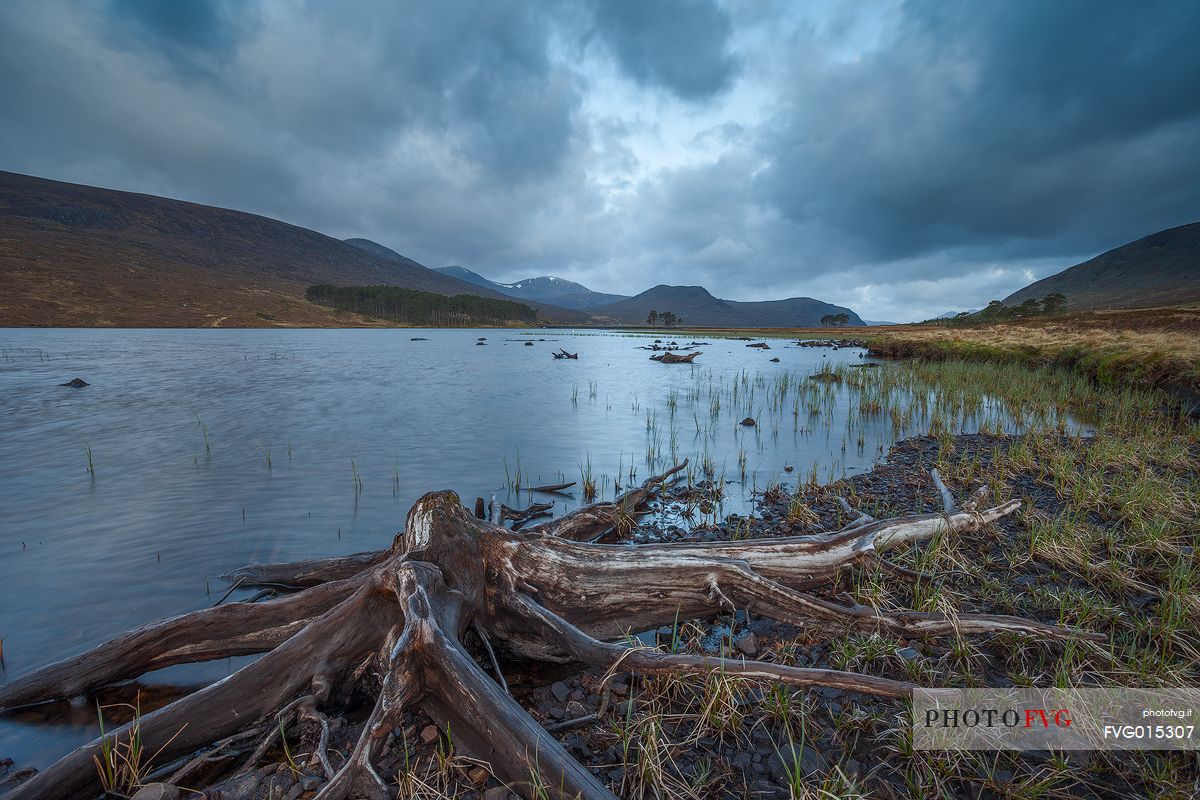 These roots of dead trees can be seen only with low tide at loch Droma. During that day in particular the dramatic sky gave a dark mood to the all scenary