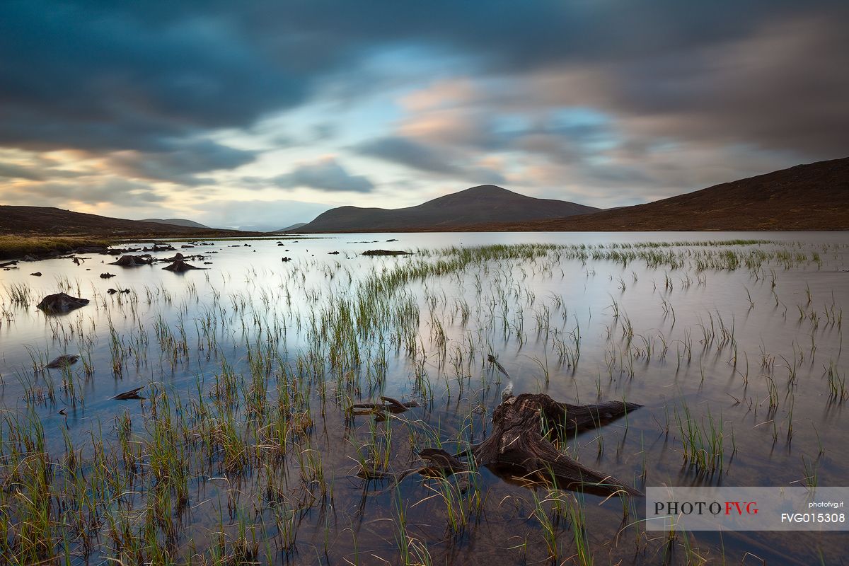 These roots of dead trees can be seen only with low tide at loch Droma. During that day in particular the dramatic sky gave a dark mood to the all scenary