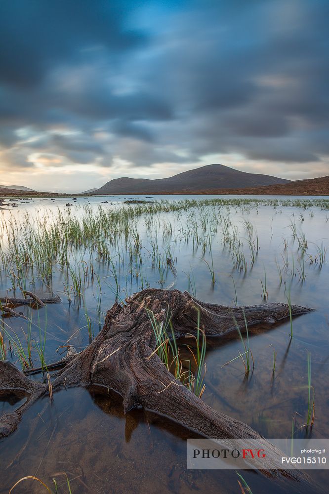 These roots of dead trees can be seen only with low tide at loch Droma. During that day in particular the dramatic sky gave a dark mood to the all scenary