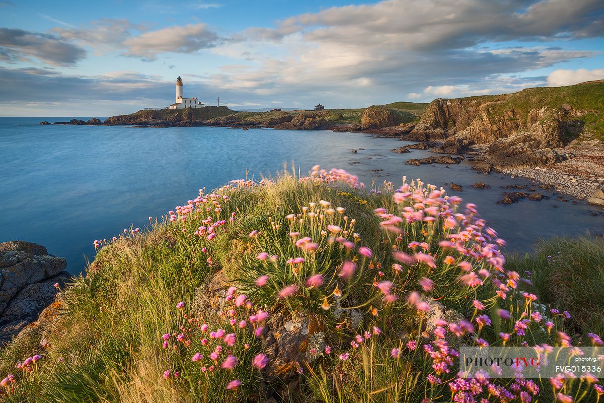 The spring wind blows through the flowers at Turnberry