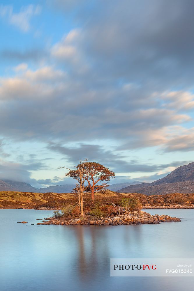 This fascinating isle of scots pines was reflected  in the lake at sunset time