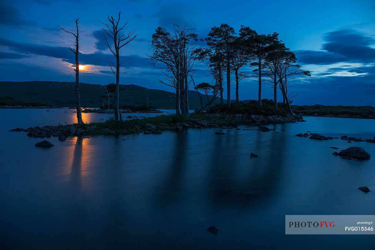 This fascinating isle of scots pines was reflected  in the lake at night with moon among the clouds
