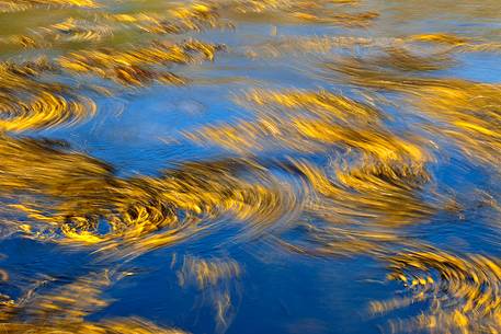 Seaweed in the water, Staffin Bay