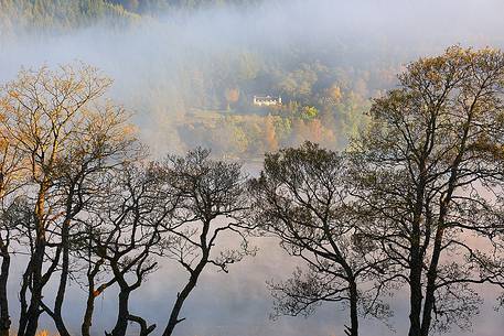 Loch Achray, Fog in autumn, Highlands, Loch Lomond and The Trossachs National Park, British Isles Loch Achray, Fog in autumn, Highlands, Loch Lomond and The Trossachs National Park, British Isles