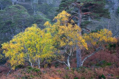 Torridon Valley in autumn