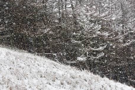 Snow up the hills of Largs