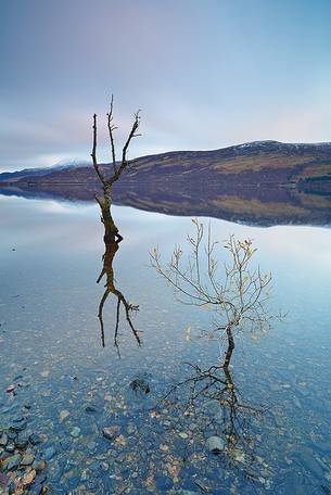 Living and death plants are on the water of Loch Rannoch composing a Zen Landscape