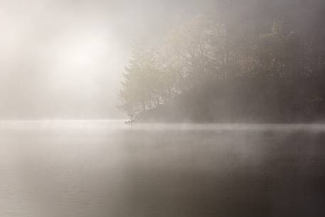 Misty Sunrise at Loch Ard