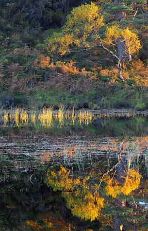Beautiful reflection and light at Glen Torridon