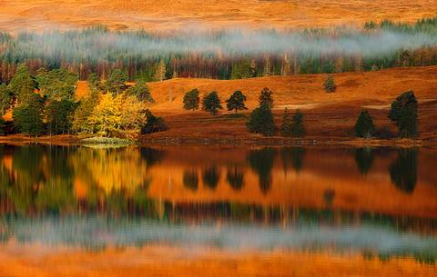 A small isle of larches become colourful at Autumn time