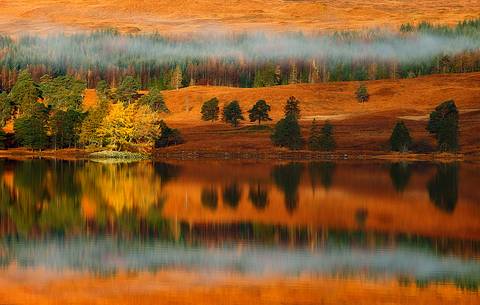 A small isle of larches become colourful at Autumn time