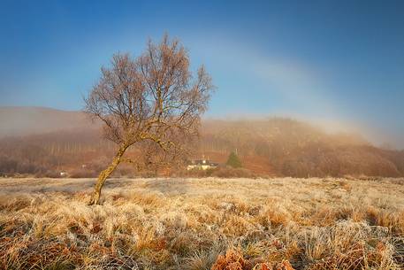 An impressive Halo embraces the ladnscape in the morning An impressive Halo embraces the ladnscape in the morning