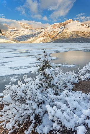 The scenary at Bow Lake looks amazing after a fresh snow storm in June