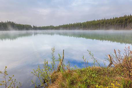 Misty morning at Herbert Lake