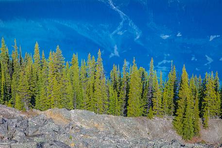 Peitho lake with its amazing colors is simply one of the most famous jewel of the Rockies