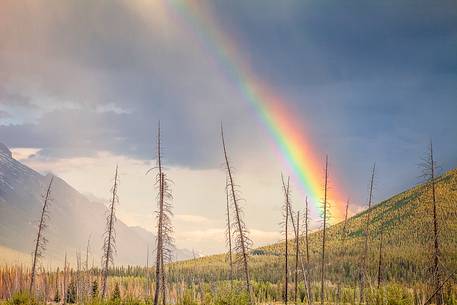 Storm and rainbow above Mount Rundle at Vermillion lake