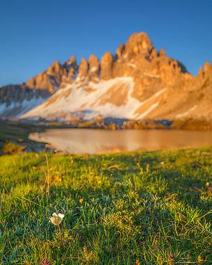 The morning light in June 