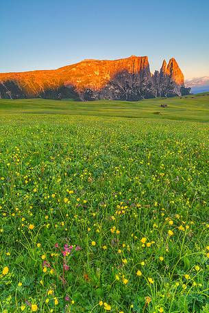 Sciliar plateau illuminated by the sunrise light during the summer time