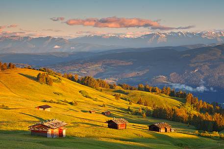 Some little shelters on Alpine meadows of Siusi Alp are illuminated by the warm light of the sunrise