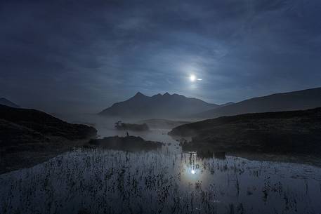 This picture has been taken during the night with full moon. A perfect mood for a movie about werewolf