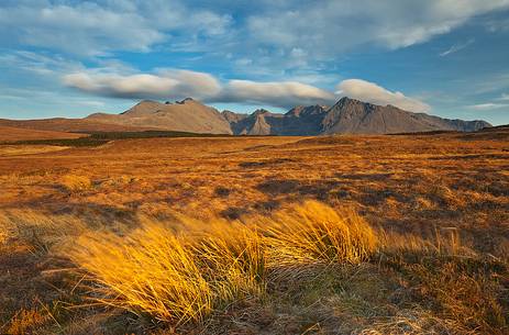 The wind blows on the landscape and creates a simmetry between the grass on the foreground and the clouds on the background The wind blows on the landscape and creates a simmetry between the grass on the foreground and the clouds on the background