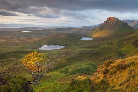 A warm ray of light reach a lonely tree during the sunrise at Quiraing A warm ray of light reach a lonely tree during the sunrise at Quiraing