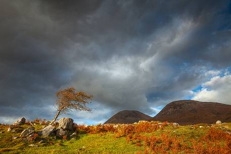 This picture has been taken just few minutes before the arrival of a rain storm