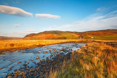 A great Autumn day with shining colors and the fascinating contrast between yellow and blue