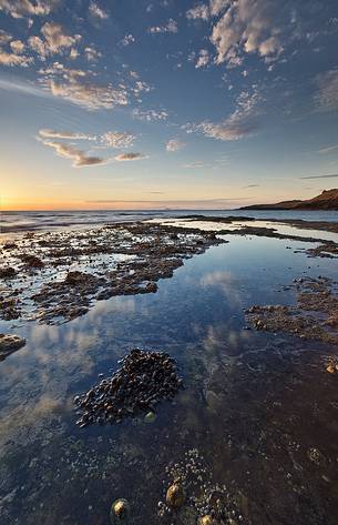 Shells, stone and reflection at Score bay