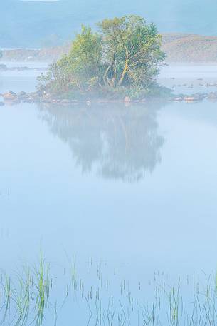 A little isle on the lake hit ny the first light in the morning