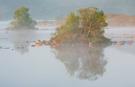 Two little isles on the lake hit ny the first light in the morning