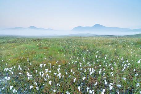 Morning myst in frot of black mount