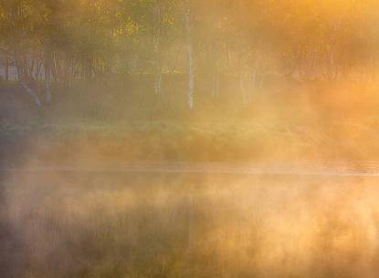 Incredible light and myst in the morning on the lake side