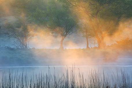 Beautiful light  and fog at sunrise