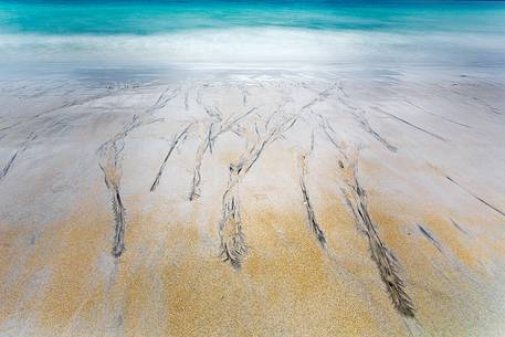 Some details and texture on the beach made by the work of tides and seaweeds