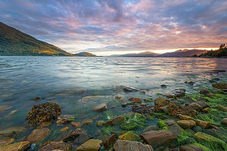 Moss and seaweed on the foreground and a great sunset on the background