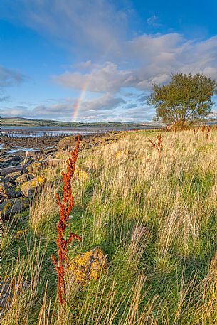 Rainbow during a changeable day